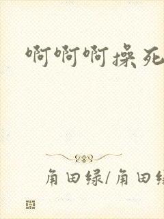 啊啊啊操死母狗