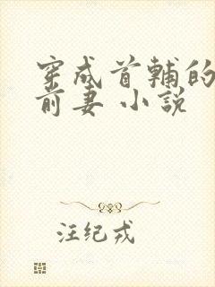 穿成首辅的炮灰前妻 小说封面