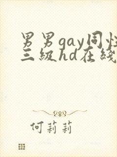 男男gay同性三级hd在线