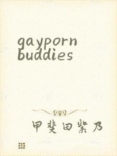 gaypornbuddies封面