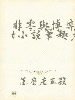 非零与博弈txt小说笔趣免费阅读