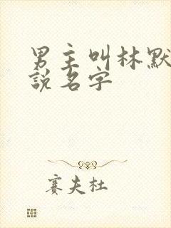 男主叫林默的小说名字封面