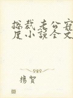 总裁老公宠妻无度小说全文免费