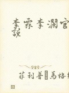 李霖李澜官场小说