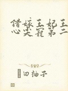 错嫁王妃王爷的心尖宠第二季