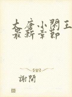 大唐小闲王小说最新章节