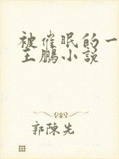 被催眠的一家人王鹏小说封面