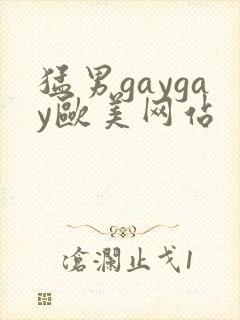 猛男gaygay欧美网站