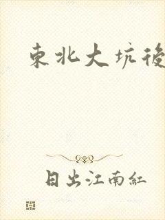 东北大坑后续2封面