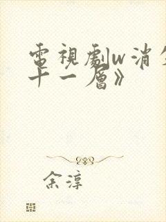 电视剧w消失的十一层》