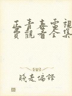 正青春电视剧免费观看全集完整版