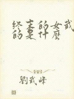 终末的女武神讲的是什么