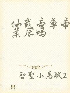 仙武帝尊帝荒是叶辰吗