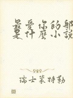 最爱你的那十年是什么小说