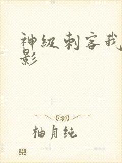 神级刺客我是暗影