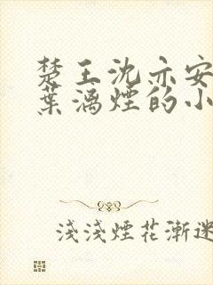 楚王沈亦安女主叶漓烟的小说