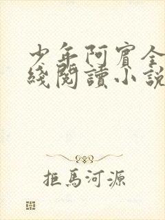 少年阿宾全文在线阅读小说