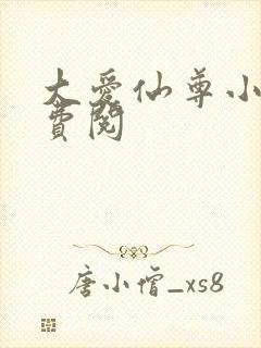 大爱仙尊小说免费阅