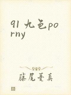 91 九色porny封面