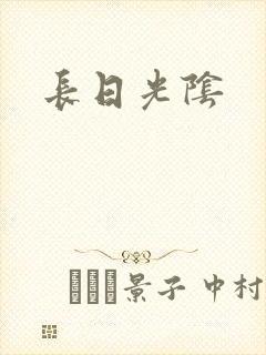 长日光阴封面