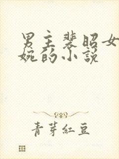 男主裴昭女主林婉的小说