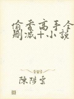 偷香高手全文无删减+小说