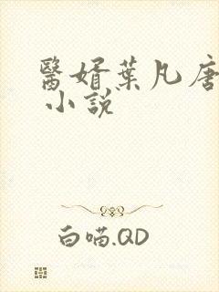 医婿叶凡唐若雪 小说