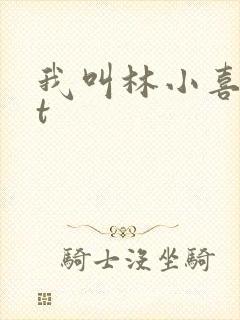 我叫林小喜txt