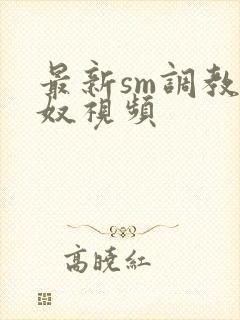 最新sm调教男奴视频