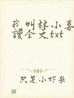 我叫林小喜全阅读全文txt