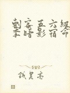 刺客五六级第四季暗影宿命免费观看