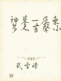 神墓—辰东免费多人有声小说