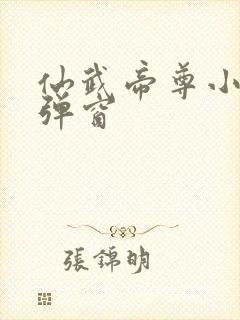 仙武帝尊小说无弹窗