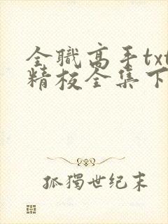 全职高手txt精校全集下载