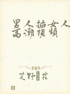 男人插女人下面高潮视频