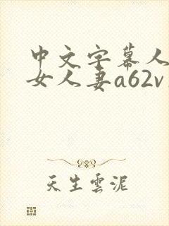 中文字幕人妻熟女人妻a62v在线
