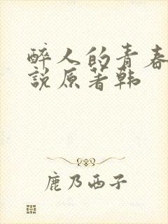 醉人的青春期小说原著韩