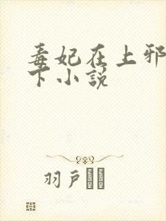 毒妃在上邪王在下小说封面