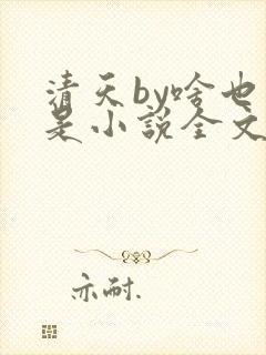 清天by啥也不是小说全文免费阅读
