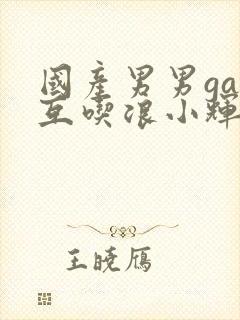 国产男男gay互吃浪小辉