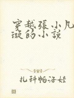 穿越张小凡楚清璇的小说