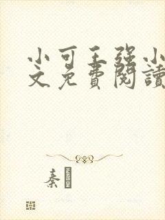 小可王强小说全文免费阅读