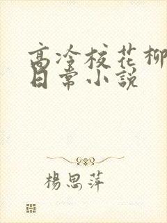 高冷校花柳冰的日常小说