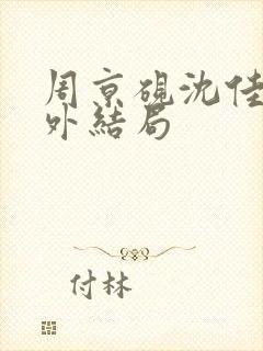 周京砚沈佳期番外结局封面