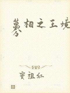 万相之王境界划分