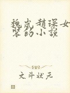 魏岚赵琛女扮男装的小说