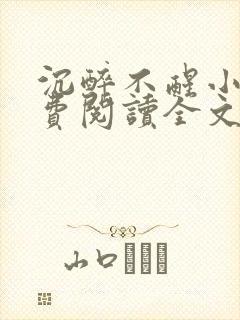 沉醉不醒小说免费阅读全文无弹窗封面