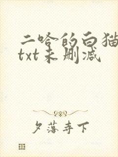 二哈的白猫师尊txt未删减