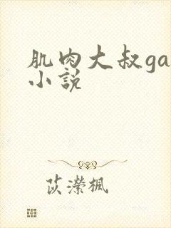 肌肉大叔gay小说