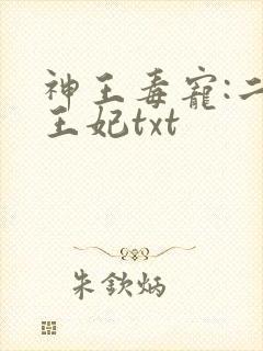 神王毒宠:二嫁王妃txt